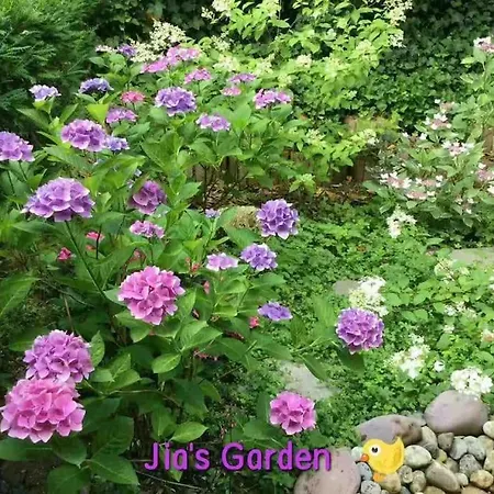 Neroberg 2 Garden Emerald *