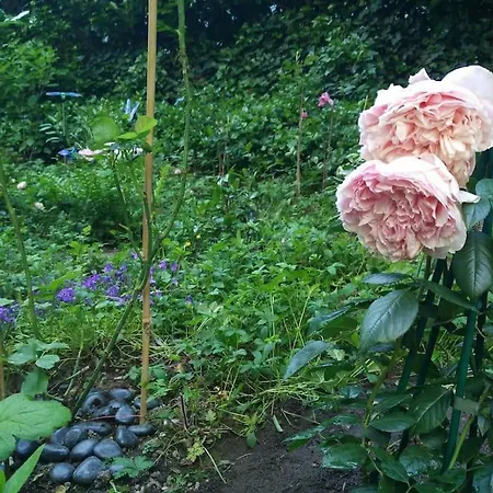アパート Neroberg 2 Garden Emerald